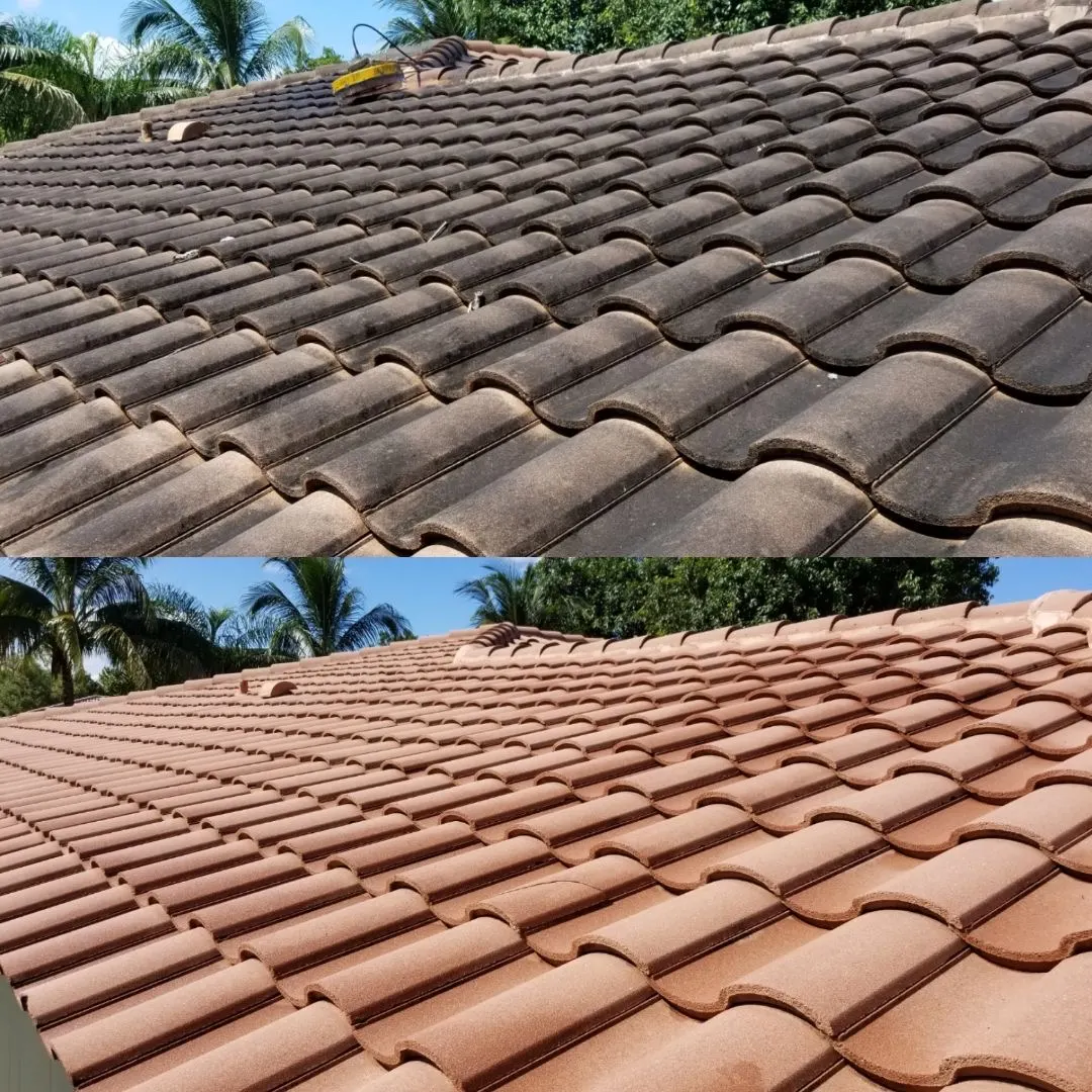 Pressure Washing vs. Soft Washing: Which Does Your Florida Home Need?