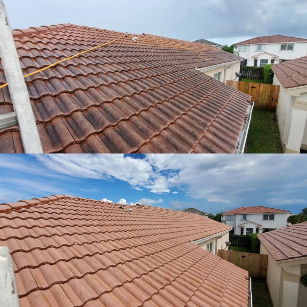Roof Cleaning — Shepherd Window Cleaning & Pressure Washing, South Florida